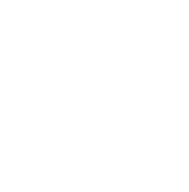 FES Aragón