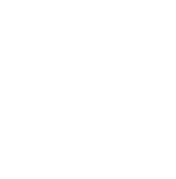 FES Aragón