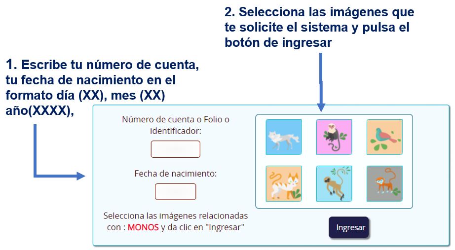 Formulario de ingreso